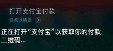 在支付宝里使用语音支付的详细操作